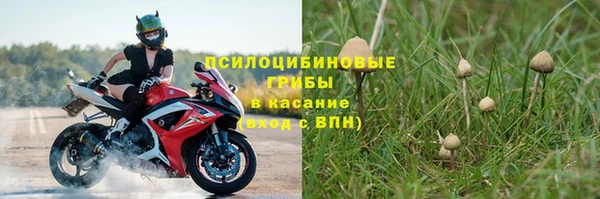 apvp Верхний Тагил